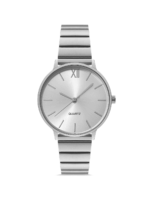 Kadın Çelik Kol Saati